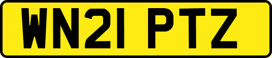 WN21PTZ