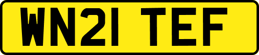 WN21TEF