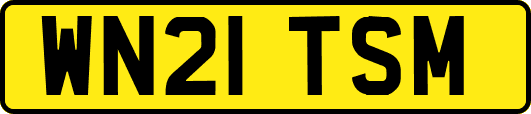 WN21TSM
