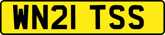 WN21TSS