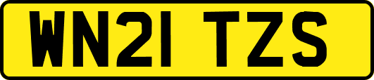 WN21TZS