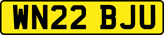 WN22BJU