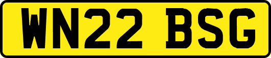 WN22BSG