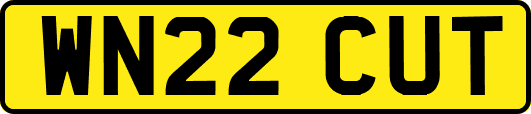 WN22CUT