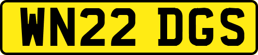 WN22DGS