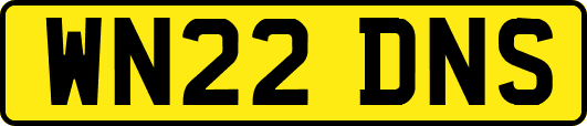 WN22DNS