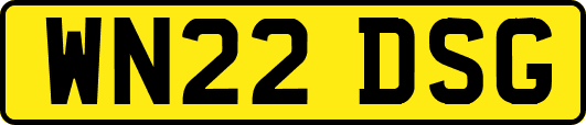 WN22DSG