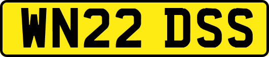 WN22DSS