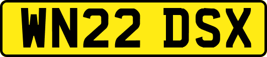 WN22DSX