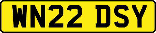 WN22DSY