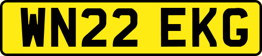 WN22EKG