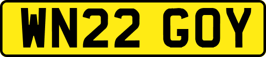 WN22GOY