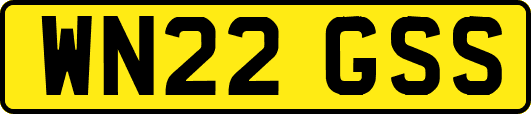 WN22GSS