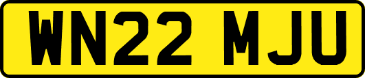 WN22MJU