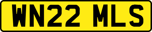 WN22MLS