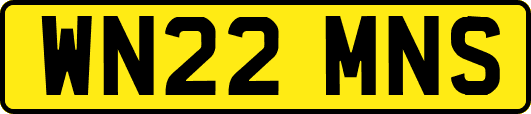 WN22MNS