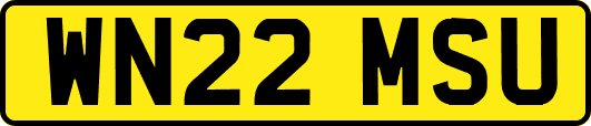 WN22MSU