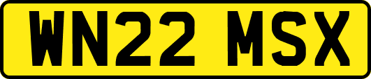 WN22MSX