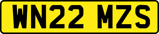 WN22MZS