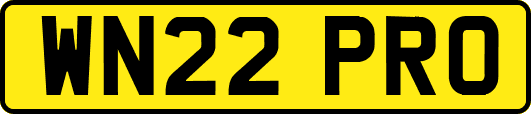 WN22PRO