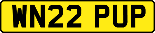 WN22PUP