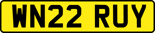 WN22RUY