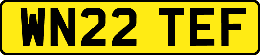 WN22TEF