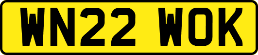 WN22WOK