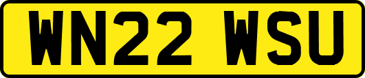 WN22WSU
