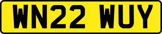 WN22WUY