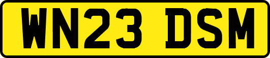 WN23DSM