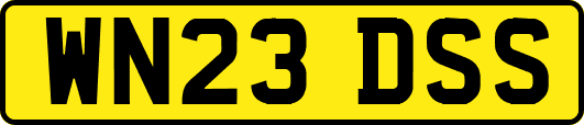 WN23DSS