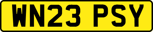WN23PSY