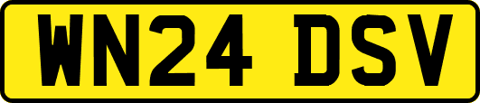 WN24DSV