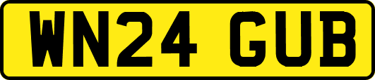 WN24GUB