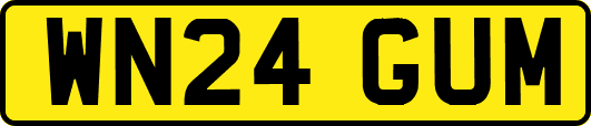 WN24GUM