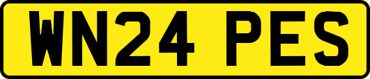 WN24PES