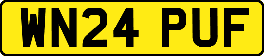 WN24PUF