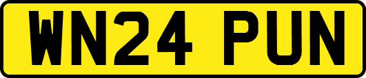 WN24PUN