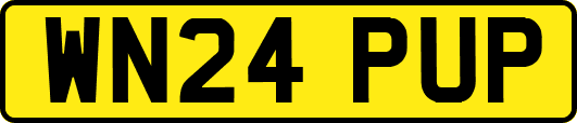 WN24PUP