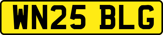 WN25BLG