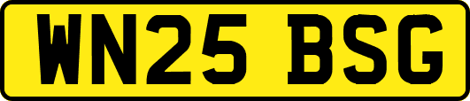 WN25BSG