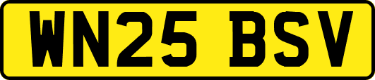 WN25BSV