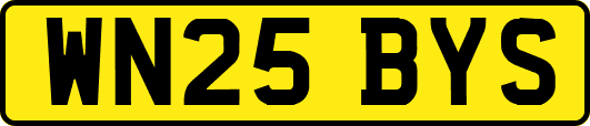 WN25BYS