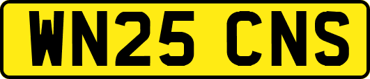 WN25CNS