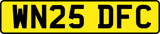 WN25DFC