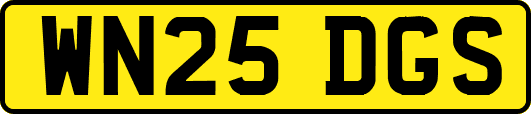 WN25DGS
