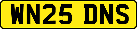 WN25DNS