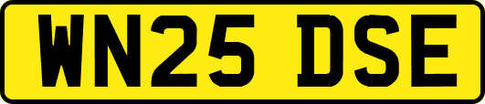 WN25DSE