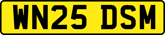 WN25DSM